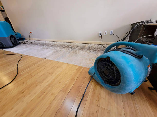 Professional Water Damage Repair technician working in Oklahoma, OK